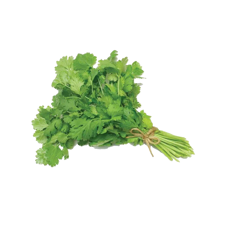 Fresh Coriander – Per Bunch