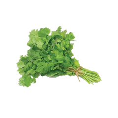Fresh Coriander – Per Bunch