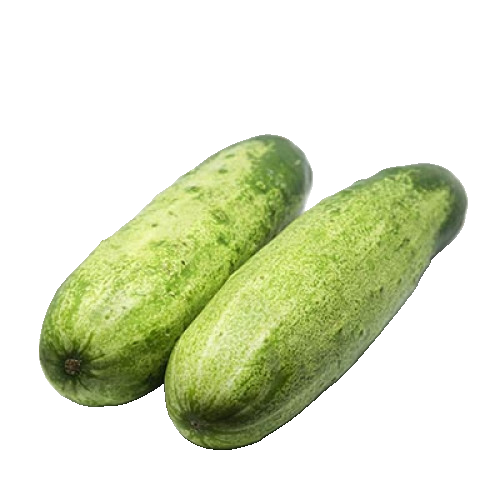 Nepalese Cucumber (Kakra) – Per Kg