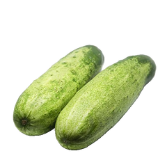 Nepalese Cucumber (Kakra) – Per Kg
